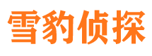 叙永市调查公司